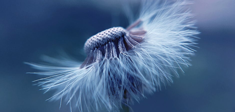 Coping With Stress In Difficult and Challenging Times